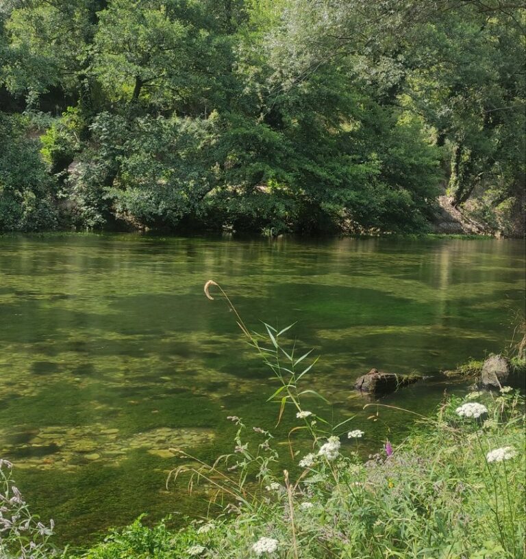 (Видо) Светски ден на реките – Македонските текови под закана од хидроцентрали, загадување и климатски промени