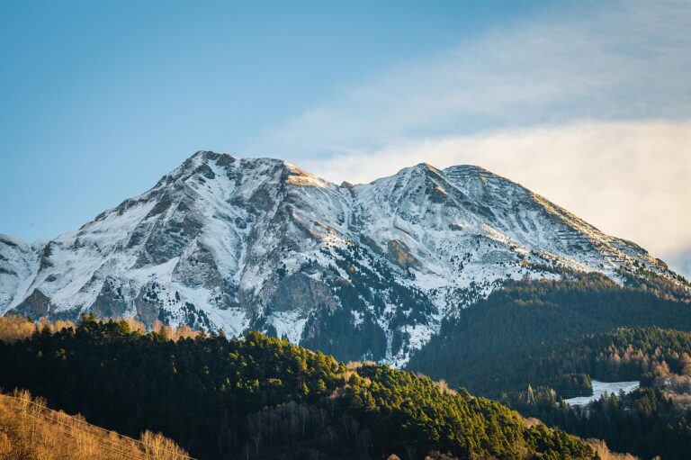 Ладен бран повторно ги носи температурите во минус
