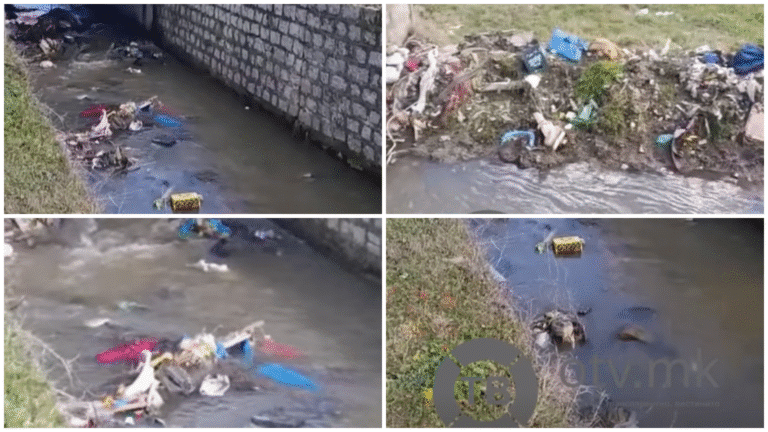 ПОПЛАВИТЕ ГО ИЗВАДИЈА ЃУБРЕТО ОД РЕКИТЕ – Пластика, шут и дивоградби…