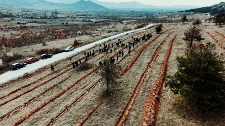 ПРИЛЕП ГО ОДБЕЛЕЖА ДЕНОТ НА ПРОЛЕТТА СО ПОШУМУВАЊЕ НА МАРКОВИ КУЛИ – ЗАСАДЕНИ 6.000 ДАБОВИ САДНИЦИ