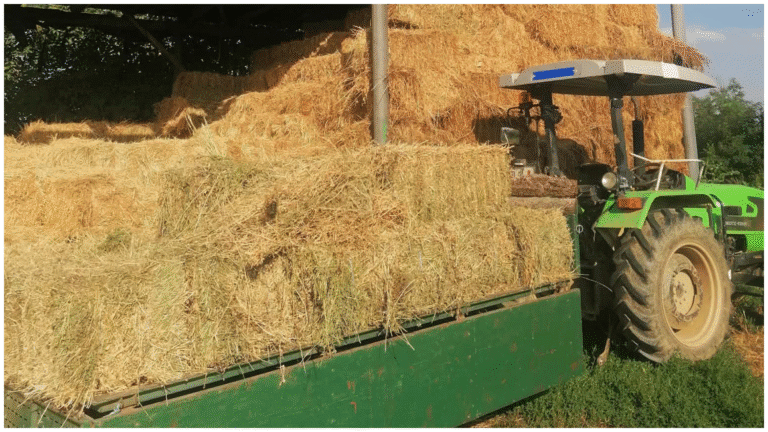 Земјоделците револтирани: „Наместо на нива, ќе дежураме на бензинска“