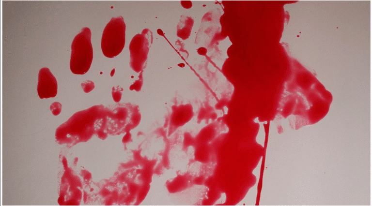 Трагедија во Скопје: Институцинално непостапување или…?