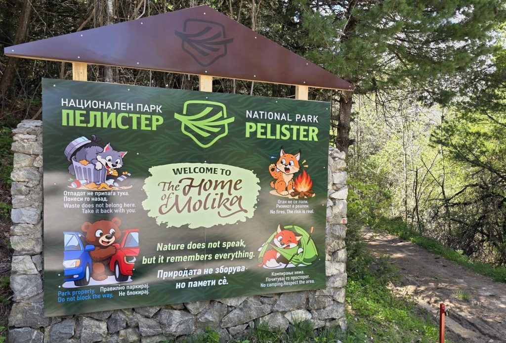 Нови инфо табли на Пелистер – модерна приказна за македонскиот бор