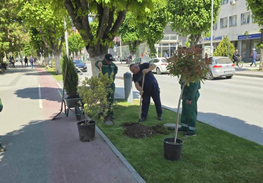 Ново зеленило на „Прилепски бранители“ – акција на Комуналец