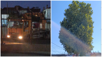 photo-collage.png - 2026-08-16T173040.114