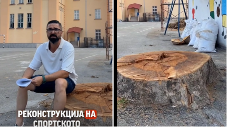 (видео) Стеваноски: Комисијата утврдила дека нема опасност, но дрвото сепак е пресечено