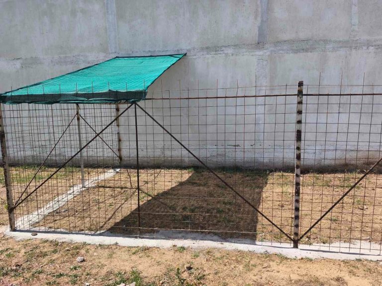 Затворениците од КПД Прилеп изработија нови боксови за службените кучиња – придонес за поголема безбедност