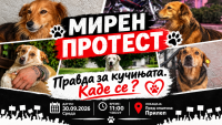 viber_image_2026-09-28_13-55-24-080