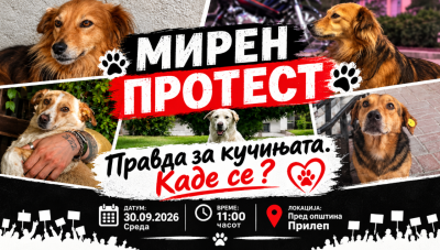 „Каде се кучињата?“ – активисти повикуваат на мирен протест пред Општина Прилеп